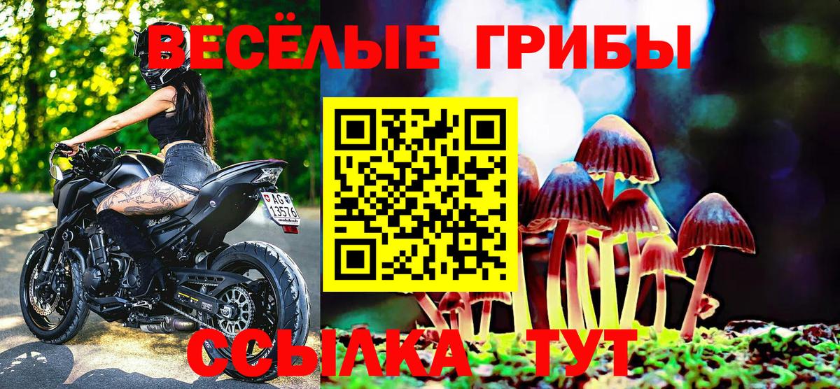 Псилоцибиновые грибы Magic Shrooms  Вход с VPN  Алушта 